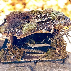 Natale presepe addobbi