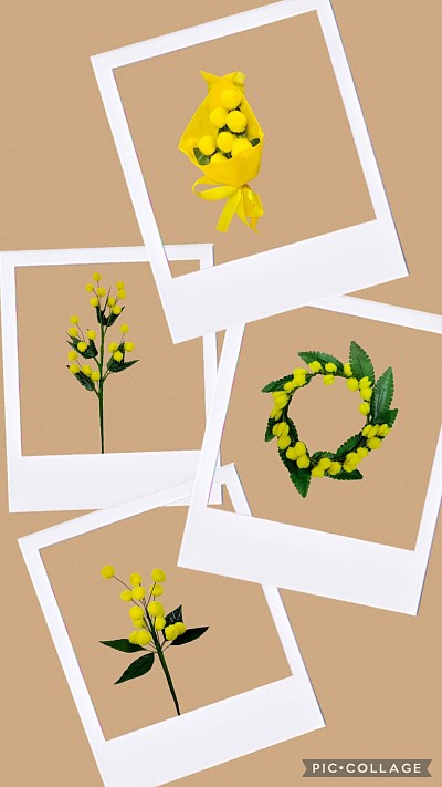 8 marzo festa della donna